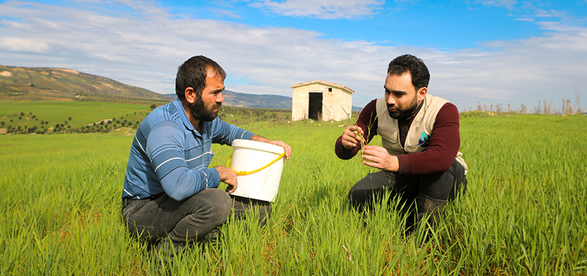 Food Security and Livelihoods